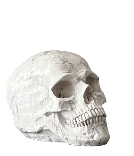 Weißer Totenkopf aus Polyresin in Marmor-Optik – seitliche Produktansicht