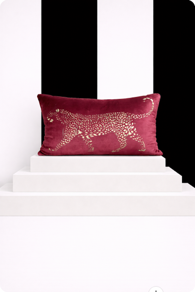 KISS Wild & Elegant  Golden Panther Samt-Optik